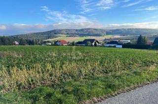 Grundstück zu kaufen in 3443 Sieghartskirchen, Grosszügiges Grundstück