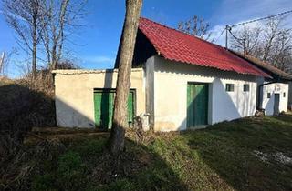 Gewerbeimmobilie kaufen in 2193 Wilfersdorf, Weinkeller in ruhiger Lage in Bullendorf!