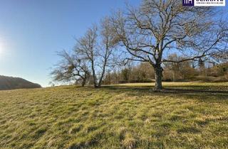 Grundstück zu kaufen in Lindenweg, 8121 Deutschfeistritz, 7 Parzellen verfügbar - Tolles Baugrundstück am Sonnenhang in Prenning bei Deutschfeistritz – 3.700 m², aufteilbar in 7 Parzellen
