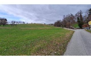 Grundstück zu kaufen in 3353 Seitenstetten, Neuer Preis! Sensationelles Preis- Leistungsverhältnis!