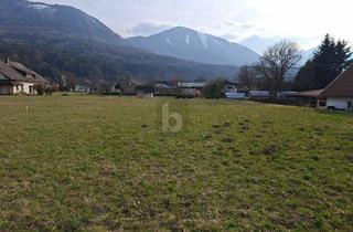 Grundstück zu kaufen in 9162 Strau, WOHNEN IM SCHÖNEN ROSENTHAL