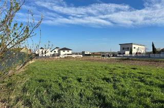 Grundstück zu kaufen in 7082 Donnerskirchen, Hausplatz in Donnerskirchen