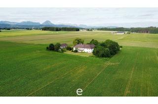 Bauernhäuser zu kaufen in Eberstalzeller Straße 28, 4643 Pettenbach, Vierkanthof in idyllischer Alleinlage