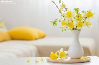 Wohnung mieten in 8020 Graz, Aufblühen in Reininghaus