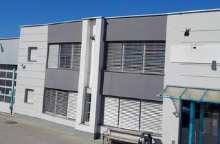 Lager mieten in 7122 Gols, Gewerbe, Bürogebäude, Lager, Halle viele Abstellmöglichkeiten beste Lage