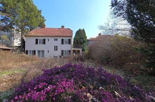 Villen zu kaufen in 2130 Mistelbach, Eine Villa zum Träumen mit unendlichen Möglichkeiten