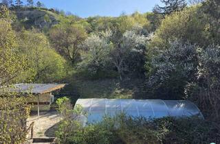 Grundstück zu kaufen in Korneuburger Straße 124, 2103 Langenzersdorf, JUWEL MIT VISION: GROSSES GRUNDSTÜCK - DIREKT AM BISAMBERG - WESTAUSRICHTUNG