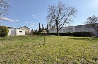 Grundstück zu kaufen in 4623 Gunskirchen, Großzügiges Baugrundstück in Zentrumslage ohne Bauverpflichtung!