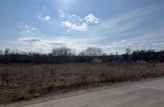 Grundstück zu kaufen in 2544 Leobersdorf, Attraktives Entwicklungsgrundstück im Industriegebiet – vielseitiges Potenzial mit strategischer Lage