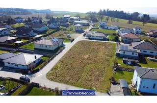 Grundstück zu kaufen in 4752 Pomedt, zwei sonnige Baugründe in Pomedt - je ca. 1079m² - ohne Bauzwang - aufgeschlossen