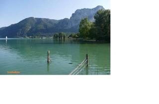 Immobilie mieten in 5310 Sankt Lorenz, Bootsplatz