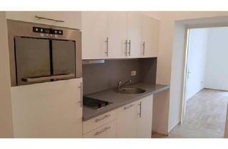 Wohnung mieten in 1020 Wien, Hof-Terrasse - Video siehe Text - WU - U1 - U2 - Prater, Singlehit, Ruhelage