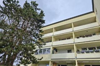 Wohnung kaufen in 2384 Breitenfurt bei Wien, Startwohnung - 1 Zimmer – toller Grünblick - sanierungsbedürftig