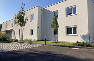 Wohnung mieten in Hausfeldgasse 2/6, 3142 Murstetten, Hausfeldgasse 2/6