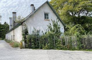 Grundstück zu kaufen in 2754 Waldegg, Grundstück mit Altbestand!