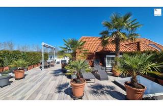 Einfamilienhaus kaufen in 5321 Koppl, Frühlingserwachen in Koppl bei Salzburg