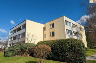 Wohnung kaufen in Emil Kraft-Gasse, 2500 Baden, Gut geschnittene 1-Zimmer-Wohnung mit Loggia und Entwicklungspotenzial