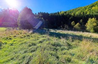 Grundstück zu kaufen in Pfarrkirche, 4462 Reichraming, Großzügiges Baugrundstück in Reichraming