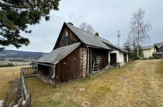 Lager kaufen in 9451 Preitenegg, Historische Schmiede im Ortskern von Preitenegg, Kärnten - vielseitig nutzbar!