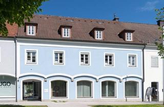 Büro zu mieten in Bmw Steyr, 4400 Steyr, 230 m² BÜRO- UND GESCHÄFTSRÄUME - ZENTRALE LAGE - AB SOFORT VERFÜGBAR! NÄHE BMW!!!