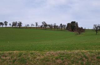 Grundstück zu kaufen in St. Peter/Au/Seitenstetten, 3352 Sankt Johann in Engstetten, Die Gelegenheit! Günstiger Baugrund in St. Johann in Engstetten/St. Peter/Au.