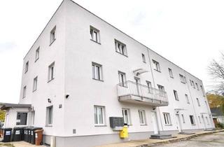Wohnung kaufen in 4400 Steyr, Gepflegtes Mini-Apartment mit Badezimmer in Zentraler Lage - Zimmer 21! Nähe Bmw, Skf
