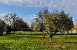 Grundstück zu kaufen in 7091 Breitenbrunn am Neusiedler See, PERFEKT GESCHNITTEN - SÜDOST-AUSRICHTUNG - AUFSCHLIESSUNGSKOSTEN BEZAHLT