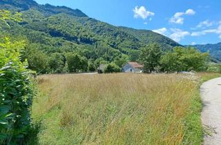 Grundstück zu kaufen in Arzberg, Bundesstraße ´Eisenstraße´, 4462 Reichraming, 1.397 m² Baugrund ohne Bauzwang - Reichraming / Ennstal, Nationalpark Kalkalpen
