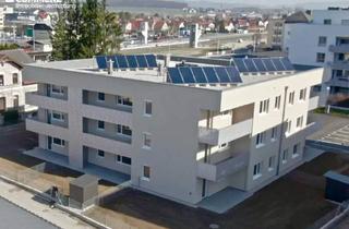 Wohnung mieten in 3250 Wieselburg, Geförderte Wohnung mit Balkon