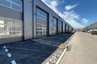 Büro zu mieten in 4490 Sankt Florian, Top Betriebs- / Lagerhallen von 59 - 230 m² Fläche im FE Business Park St. Florian / Asten zu vermieten, 1A-Lage Nähe A1 - PROVISIONSFREI! (Top 04a)