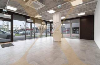 Büro zu mieten in 4050 Traun, Attraktive Retailfläche mit ca. 67,49m² in Top-Frequenzlage im Stadtteilzentrum St. Dionysen in Traun zu vermieten!