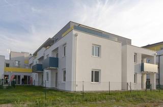 Wohnung mieten in Wienerstrasse 62, 3133 Traismauer, Moderne westseitige Seniorenwohnung mit kleinen Garten