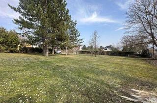 Grundstück zu kaufen in 2721 Bad Fischau, Großzügiges Grundstück für anspruchsvolles Wohnen