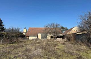 Grundstück zu kaufen in 2272 Ringelsdorf, Ideales Baugrundstück mit Stadel