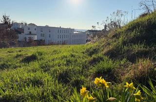 Grundstück zu kaufen in 4311 Schwertberg, Attraktives Baugrundstück mit Fern- und Zentrumsblick in Schwertberg