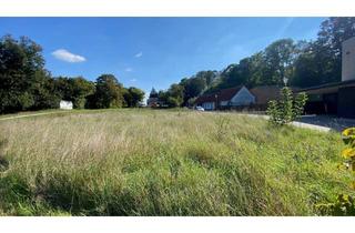 Grundstück zu kaufen in Leopold-Frank-Straße, Sandwaldweg, 2191 Pellendorf, Schönes Baugrundstück in idyllischer Ruhelage - auch als 2 x ca. 1000 m² verfügbar