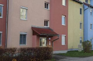 Wohnung mieten in Römerstrasse 132, 4600 Wels, Sonnige, helle Mietwohnung, Stadtteil Vogelweide