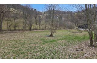 Grundstück zu kaufen in 2733 Schrattenbach, Baugrundstück mit 2000m² in 2733 Schrattenbach – Ihr Traum vom Eigenheim wartet!