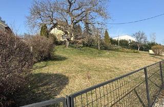 Grundstück zu kaufen in 2392 Stangau, Sulz/Stangau im Wienerwald: wunderschön gelegenes Baugrundstück mit Obstwiese