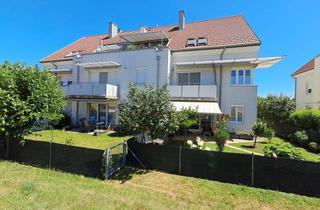 Wohnung mieten in Matzner Straße 9/4, 2242 Prottes, Matzner Straße 9/4