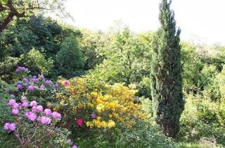 Haus kaufen in 1170 Wien, 3 Kleingarten-Parzellen inkl. Haus in absoluter Ruhelage