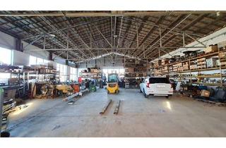 Haus kaufen in 4493 Wolfern, Neuer Preis! Ergreifen sie diese Chance!