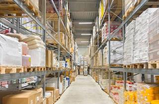 Lager mieten in 4061 Pasching, Neuwertige Lagerhalle mit Krannasen und Bürofläche zu vermieten!