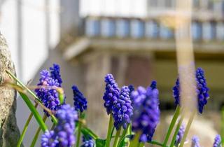 Haus kaufen in 6071 Aldrans, die Natur vor der Haustür, die Stadt ums Eck