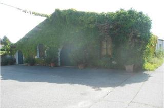 Gewerbeimmobilie kaufen in 7122 Gols, Versteigerung: großzügiger Weinguts-Betriebsstandort mit Hallen und Lagerflächen