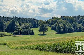 Immobilie kaufen in Moosburg, 9062 Tigring, Wiesenfläche in Moosburg - attraktive Kapitalanlage in der Natur.