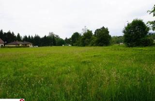 Grundstück zu kaufen in 9065 Ebenthal, Grundstück perfekt geeignet für Bauträger/Entwickler