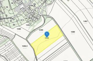 Grundstück zu kaufen in 2123 Traunfeld, Grundstück in Traunfeld - Ackerfläche