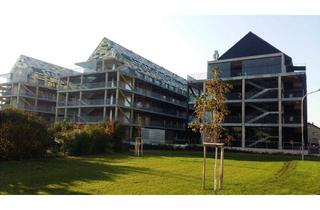 Wohnung mieten in 3100 Sankt Pölten, 2-Zimmer Wohnung mit Balkon in 3100 St. Pölten