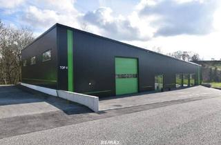 Büro zu mieten in 4431 Haidershofen, Büro und Lagerhalle in Haidershofen!